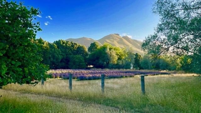 Quail Farm, Colonial Charm Bed & Breakfast Nelson Dış mekan fotoğraf